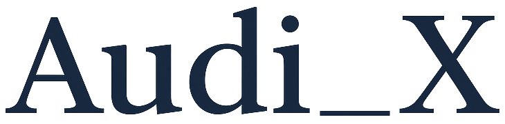 AudiX Solutions & Co. logo